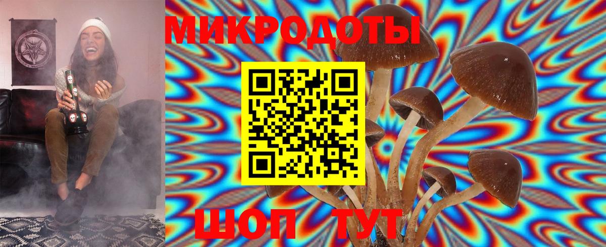 Псилоцибиновые грибы ЛСД Истра