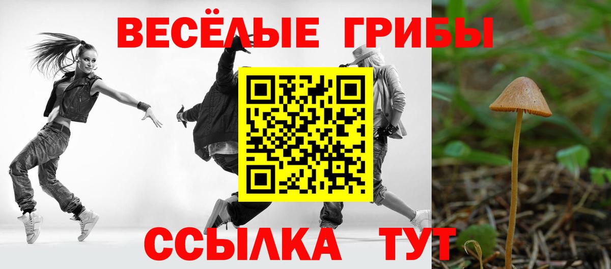 Псилоцибиновые грибы прущие грибы  Псилоцибиновые грибы прущие грибы  Вход с VPN  Истра 